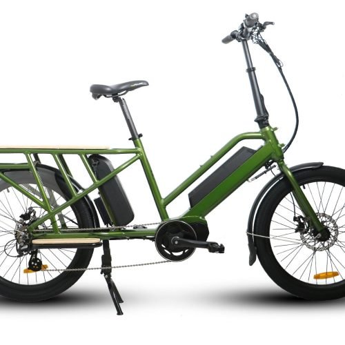 EUNORAU G20-CARGO 48V/11.6Ah 500W Mid Motor Dual Battery Cargo Electric Bike