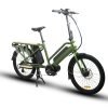 EUNORAU G20-CARGO 48V/11.6Ah 500W Mid Motor Dual Battery Cargo Electric Bike