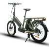 EUNORAU G20-CARGO 48V/11.6Ah 500W Mid Motor Dual Battery Cargo Electric Bike