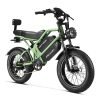 HappyRun G70 48V/26Ah 750W Electric Cargo Bike
