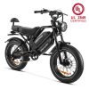 HappyRun G70 48V/26Ah 750W Electric Cargo Bike