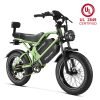 HappyRun G70 48V/26Ah 750W Electric Cargo Bike