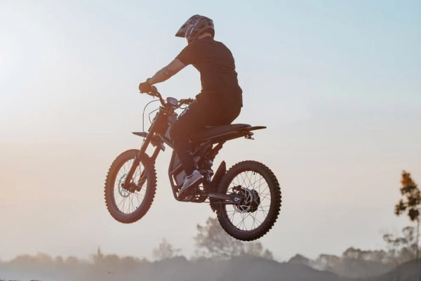 GT73-labo_8fa4207a-3c97-41d5-8844-7f80ed312209 Riding Times GT73 48V/36Ah 2400W Off-Road Electric Dirt Bike