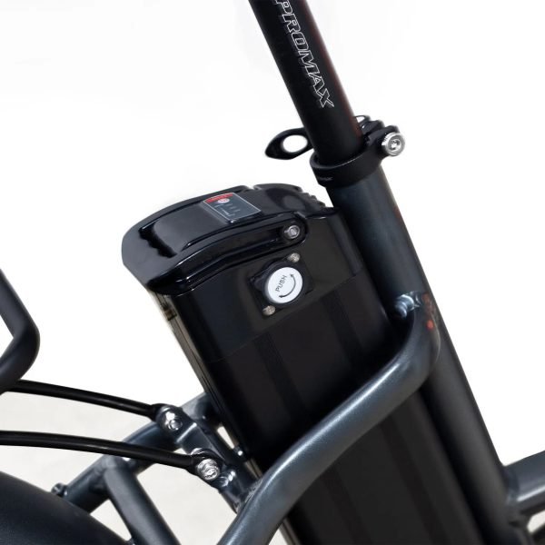 Coastal Cruiser Step Thru 24×3 52V/17Ah 750W Electric Bike