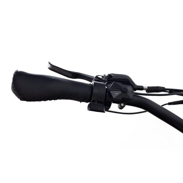 GUNMETAL-GREY12_1d68f0d6-f06b-47df-aace-acbadfd11648 Coastal Cruiser Step Over 24×3 52V/17Ah 750W Electric Bike