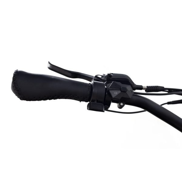 Coastal Cruiser Step Thru 24×3 52V/17Ah 750W Electric Bike