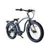 GUNMETAL-GREY3_46de5284-5fc2-401f-942c-6293b7ace476 Coastal Cruiser Step Over 24×3 52V/17Ah 750W Electric Bike
