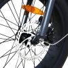 Coastal Cruiser Step Thru 24×3 52V/17Ah 750W Electric Bike