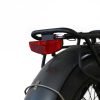 GUNMETAL-GREY6_998ff2c7-80be-4ced-8078-c3d49ff65d75 Coastal Cruiser Step Over 24×3 52V/17Ah 750W Electric Bike