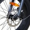 Coastal Cruiser Step Thru Mini 20×4 52V/17Ah 750W Electric Bike