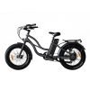 Coastal Cruiser Step Thru Mini 20×4 52V/17Ah 750W Electric Bike