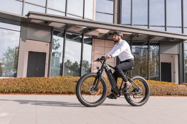 IMGL7090 DYU King 750 48V/20Ah 750W Fat Tire Electric Bike
