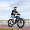 IMGL7261 DYU King 750 48V/20Ah 750W Fat Tire Electric Bike