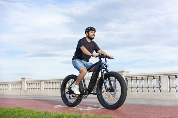 IMGL7261 DYU King 750 48V/20Ah 750W Fat Tire Electric Bike