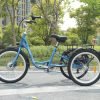IMG_1806-scaled-1 DWMEIGI Hera MG708 36V/13Ah 350W Step-Thru Electric Trike
