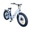 Coastal Cruiser Step Thru 26×4 48V/20Ah 750W Electric Bike