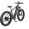 KING750_1 DYU King 750 48V/20Ah 750W Fat Tire Electric Bike