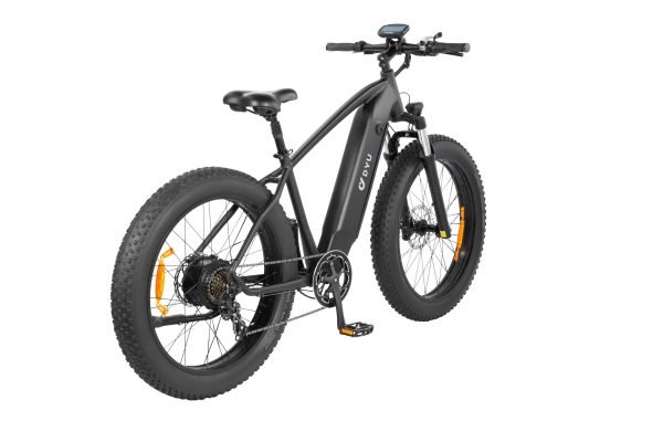 KING750_1 DYU King 750 48V/20Ah 750W Fat Tire Electric Bike