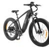 KING750_10 DYU King 750 48V/20Ah 750W Fat Tire Electric Bike