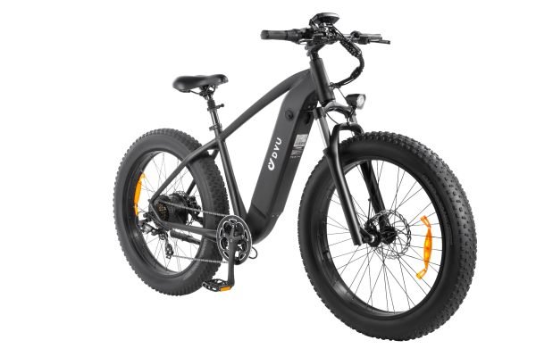 KING750_10 DYU King 750 48V/20Ah 750W Fat Tire Electric Bike