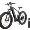 KING750_2 DYU King 750 48V/20Ah 750W Fat Tire Electric Bike