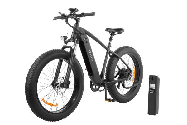 KING750_2 DYU King 750 48V/20Ah 750W Fat Tire Electric Bike