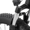 KING750_3 DYU King 750 48V/20Ah 750W Fat Tire Electric Bike