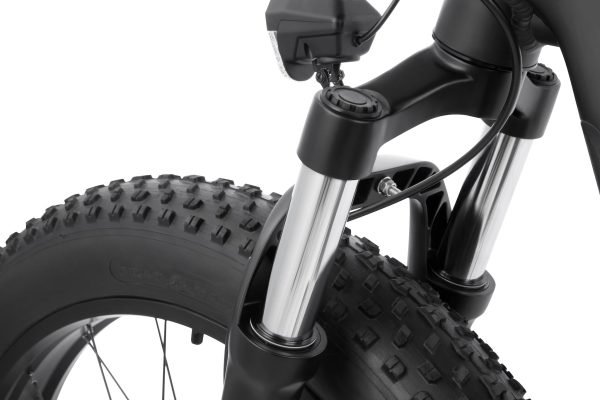 KING750_3 DYU King 750 48V/20Ah 750W Fat Tire Electric Bike