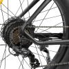 KING750_5 DYU King 750 48V/20Ah 750W Fat Tire Electric Bike