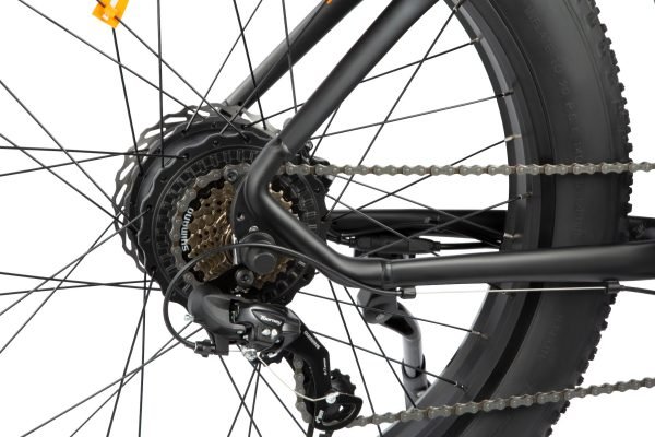KING750_5 DYU King 750 48V/20Ah 750W Fat Tire Electric Bike