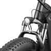 KING750_7 DYU King 750 48V/20Ah 750W Fat Tire Electric Bike