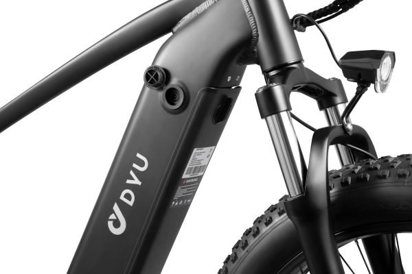 KING750_8 DYU King 750 48V/20Ah 750W Fat Tire Electric Bike