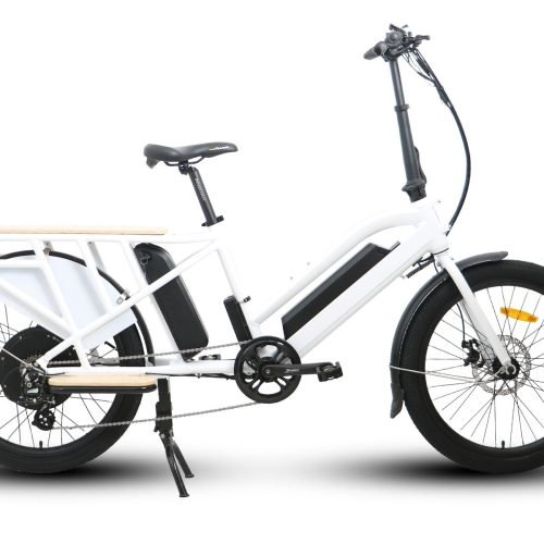 EUNORAU MAX-CARGO 48V/11.6Ah 750W Dual Battery Electric Cargo Bike