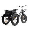 DWMEIGI Zeus MG1703 48V/18.2Ah 750W Electric Trike