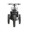 DWMEIGI Zeus MG1703 48V/18.2Ah 750W Electric Trike