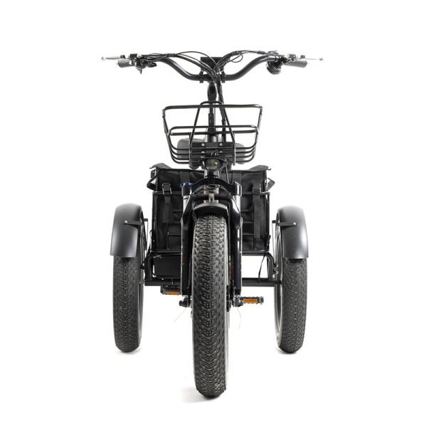 DWMEIGI Zeus MG1703 48V/18.2Ah 750W Electric Trike