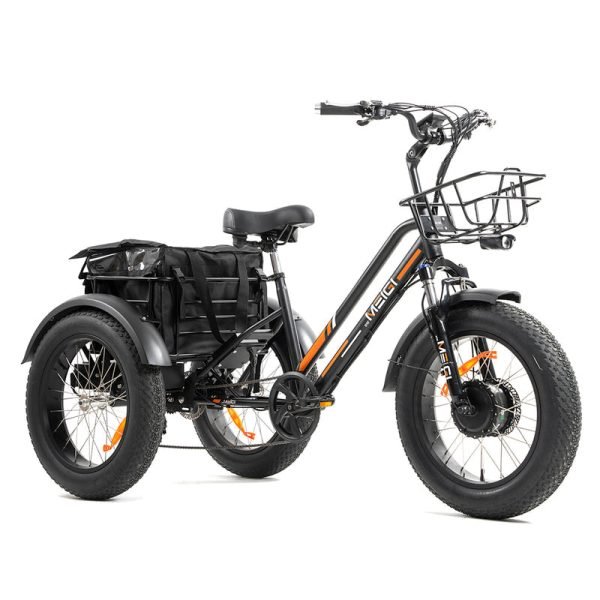 DWMEIGI Zeus MG1703 48V/18.2Ah 750W Electric Trike