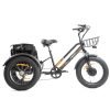 DWMEIGI Zeus MG1703 48V/18.2Ah 750W Electric Trike