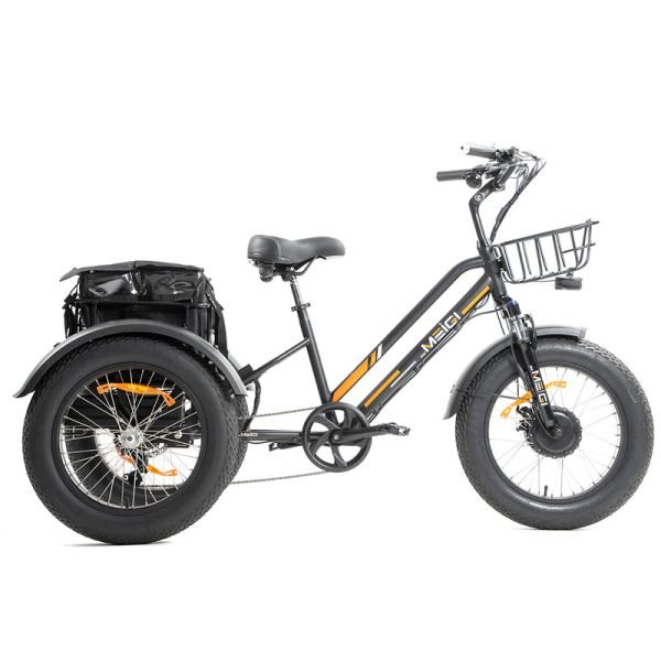 DWMEIGI Zeus MG1703 48V/18.2Ah 750W Electric Trike - Black