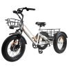 DWMEIGI Zeus MG1703 48V/18.2Ah 750W Electric Trike