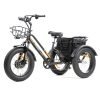 DWMEIGI Zeus MG1703 48V/18.2Ah 750W Electric Trike