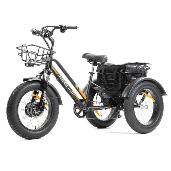 DWMEIGI Zeus MG1703 48V/18.2Ah 750W Electric Trike