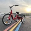 MG708_1 DWMEIGI Hera MG708 36V/13Ah 350W Step-Thru Electric Trike