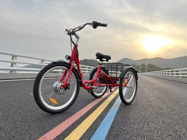 MG708_1 DWMEIGI Hera MG708 36V/13Ah 350W Step-Thru Electric Trike