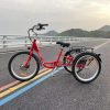 MG708_2 DWMEIGI Hera MG708 36V/13Ah 350W Step-Thru Electric Trike