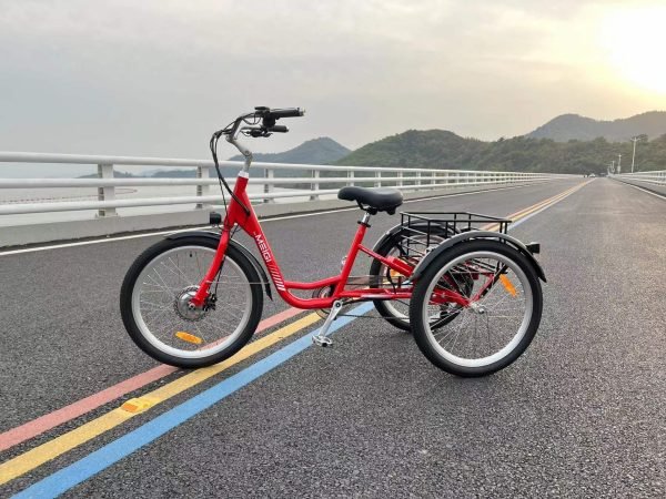 MG708_2 DWMEIGI Hera MG708 36V/13Ah 350W Step-Thru Electric Trike