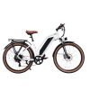 DWMEIGI Hestia 48V/13Ah 750W Electric Bike