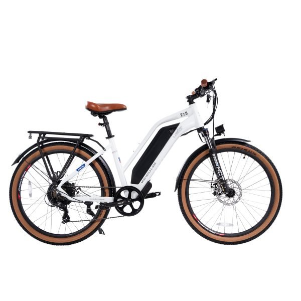 DWMEIGI Hestia 48V/13Ah 750W Electric Bike