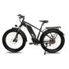 DWMEIGI Pegasus 48V/16Ah 750W Fat Tire Electric Bike