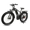 DWMEIGI Pegasus 48V/16Ah 750W Fat Tire Electric Bike